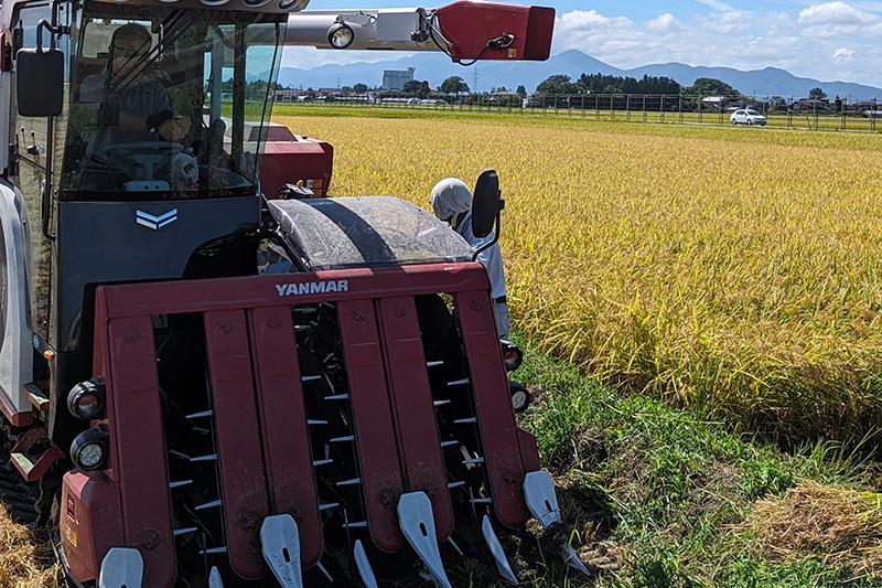 田植え作業